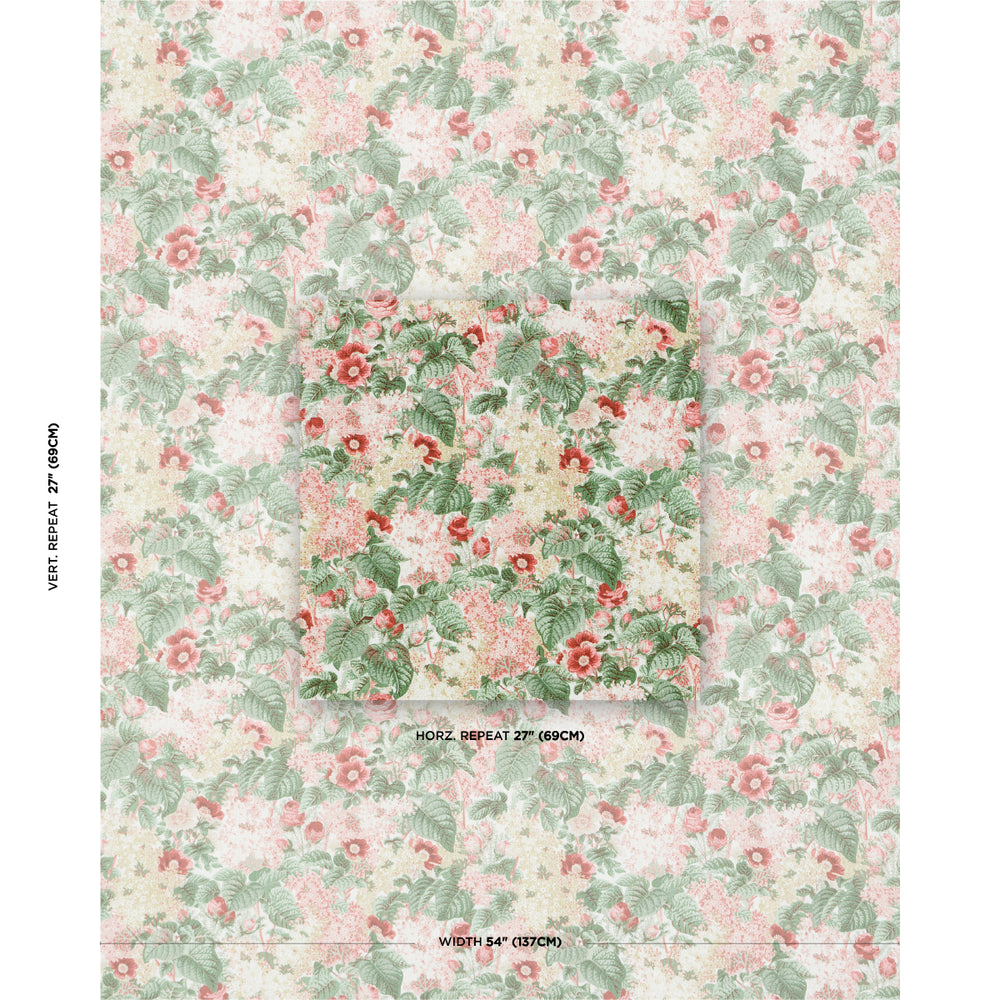 I FIORI DELLA FLORA | ALBICOCCA