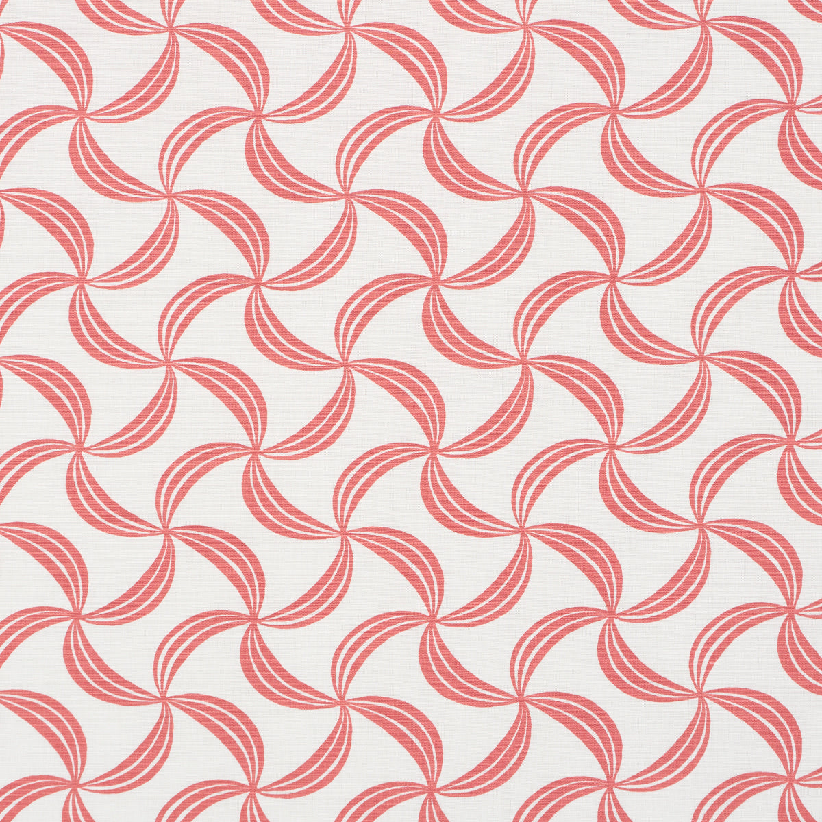 AMBROSIA | CORALLO