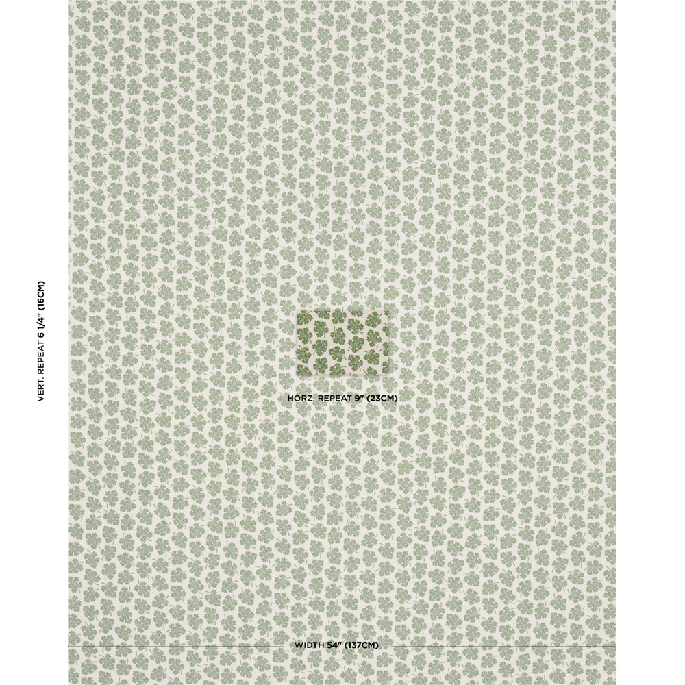 OLIVE | Green