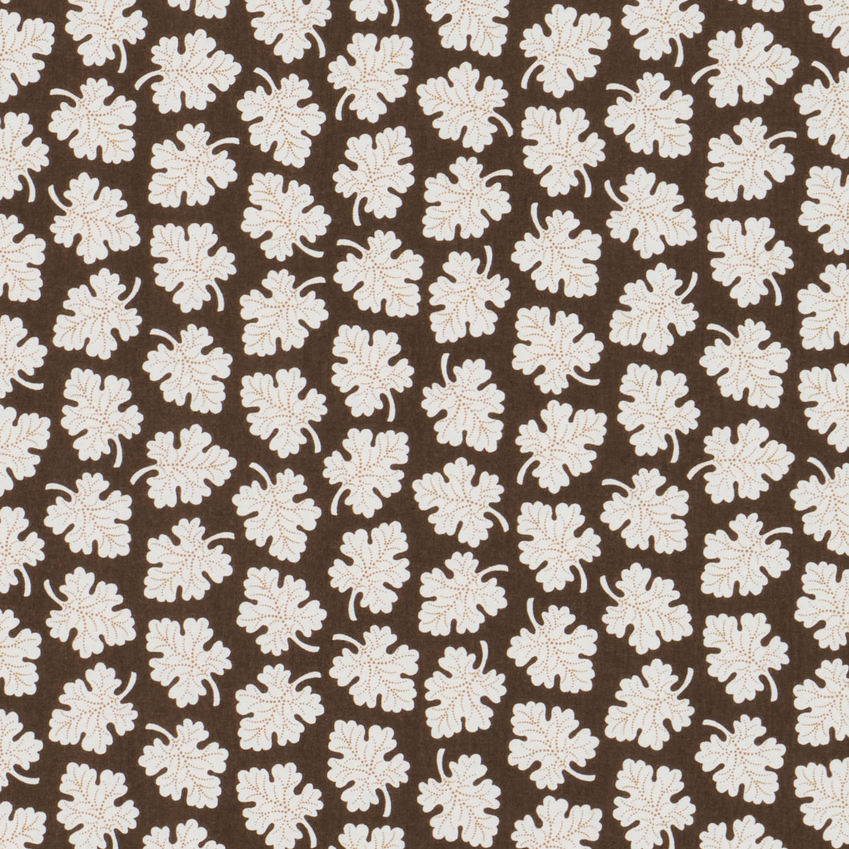 OLIVE | Brown
