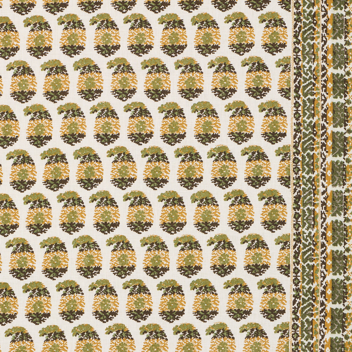 TERRY | Ochre & Green