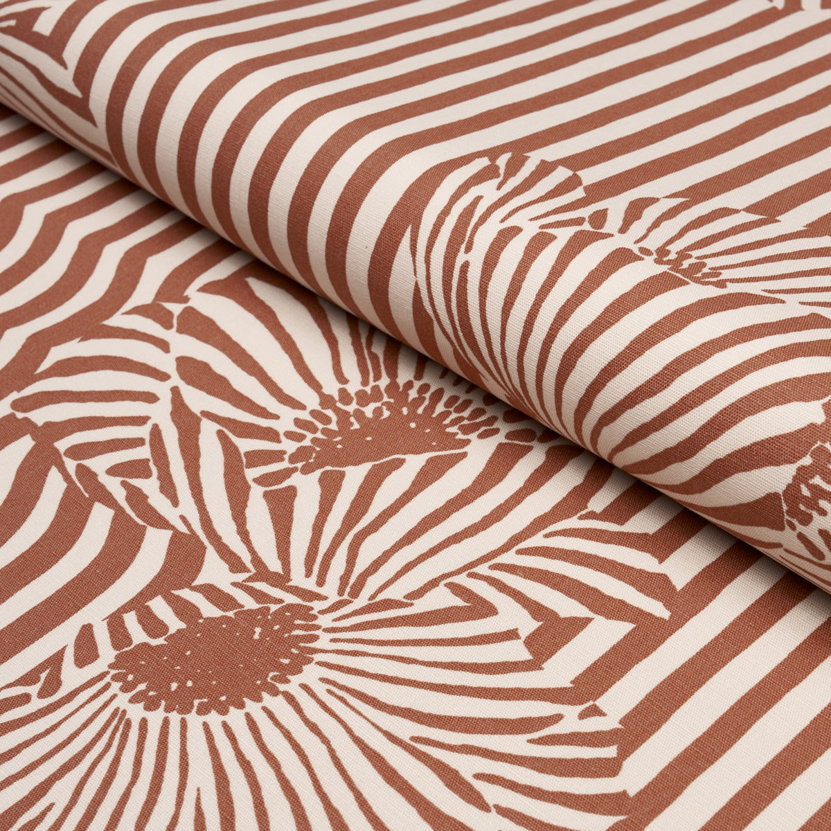CHANEY FLORAL | Terracotta