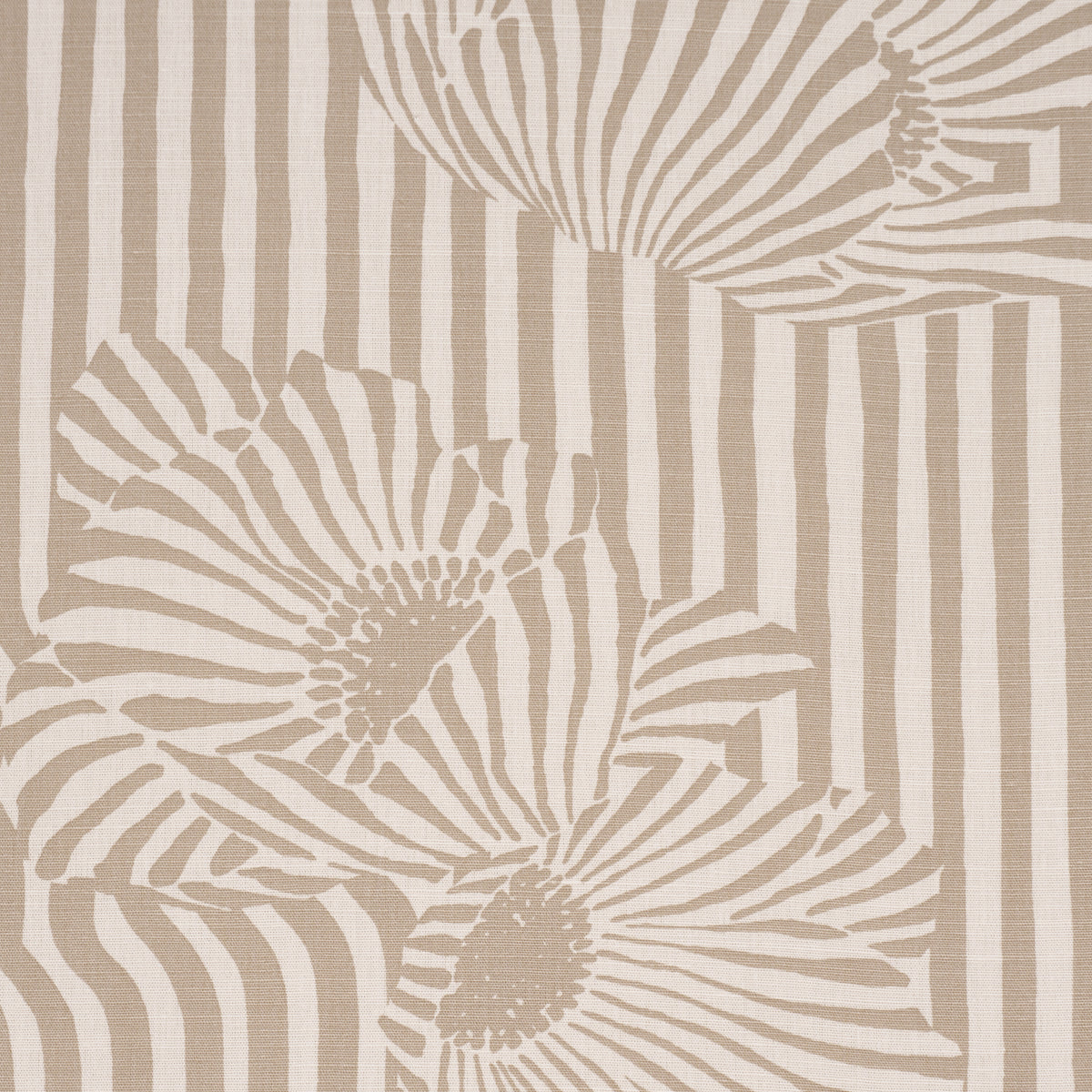 CHANEY FLORAL | Sand