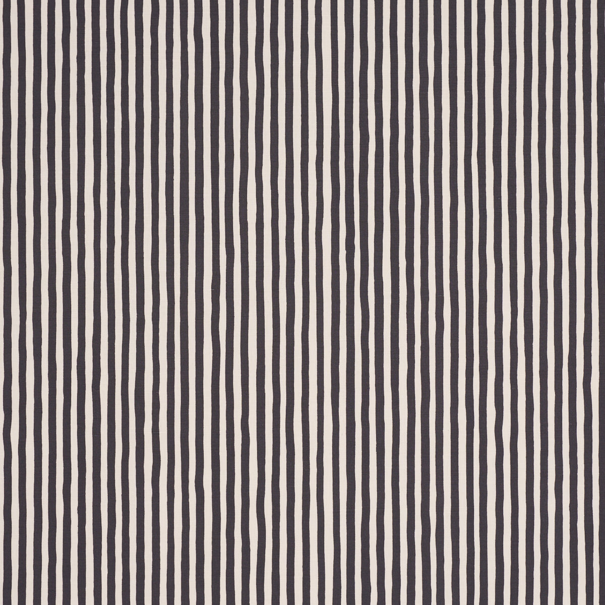 CHANEY STRIPE | Carbon