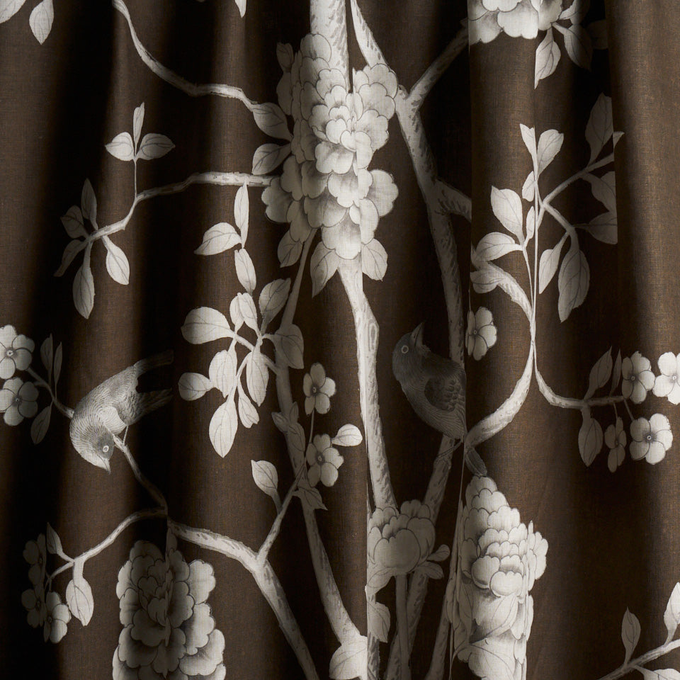 CHINOIS PALAIS | Chocolate