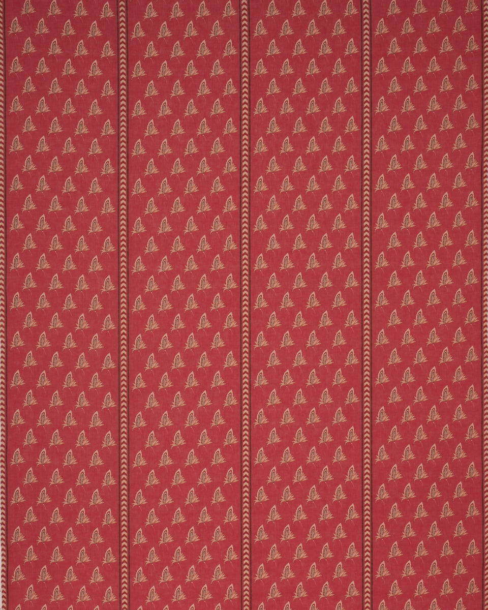 BANGALORE IMAGINATION | Rouge