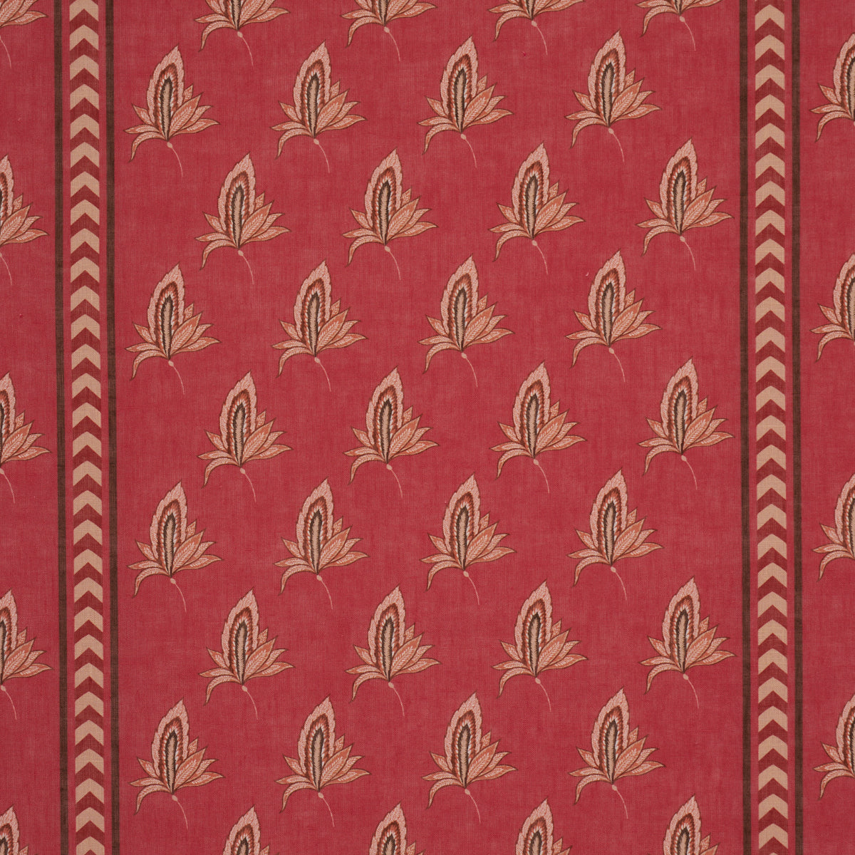 BANGALORE IMAGINATION | Rouge