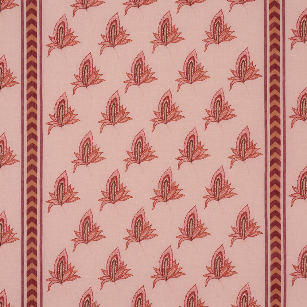 BANGALORE IMAGINATION | Rose
