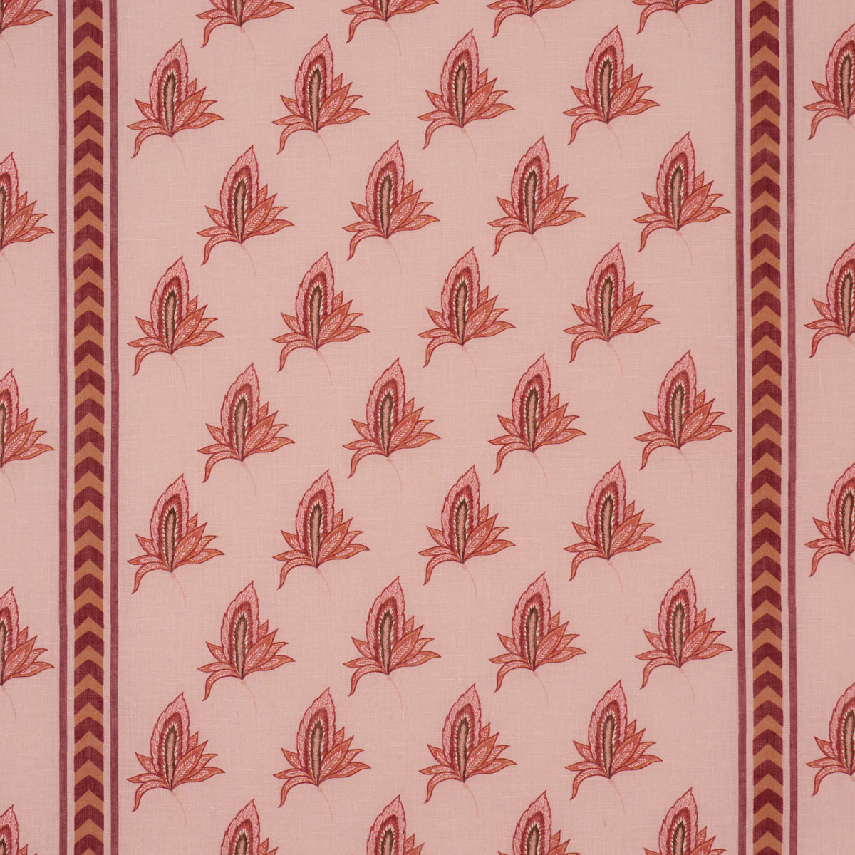 BANGALORE IMAGINATION | Rose