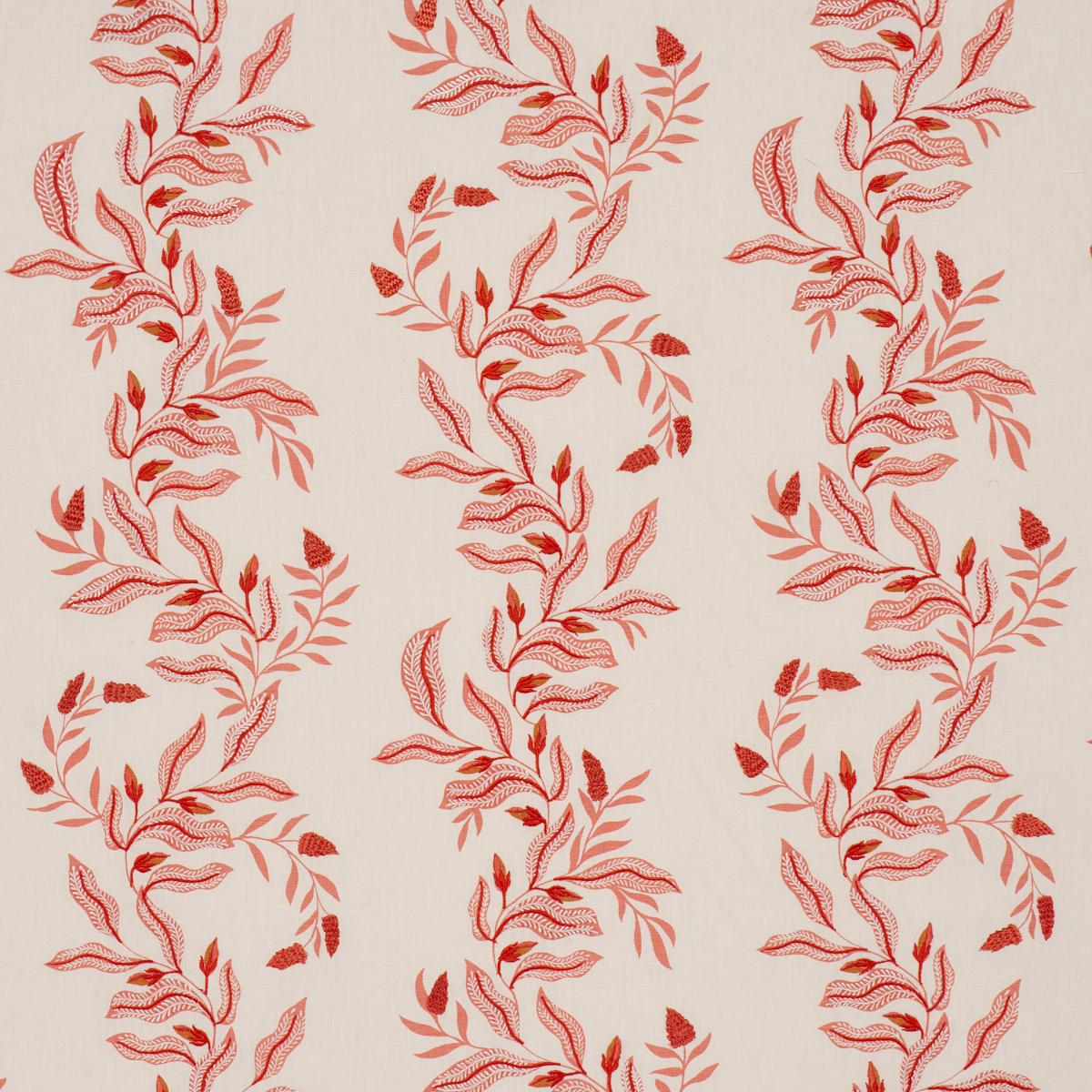 VAGARY VINES | Coral