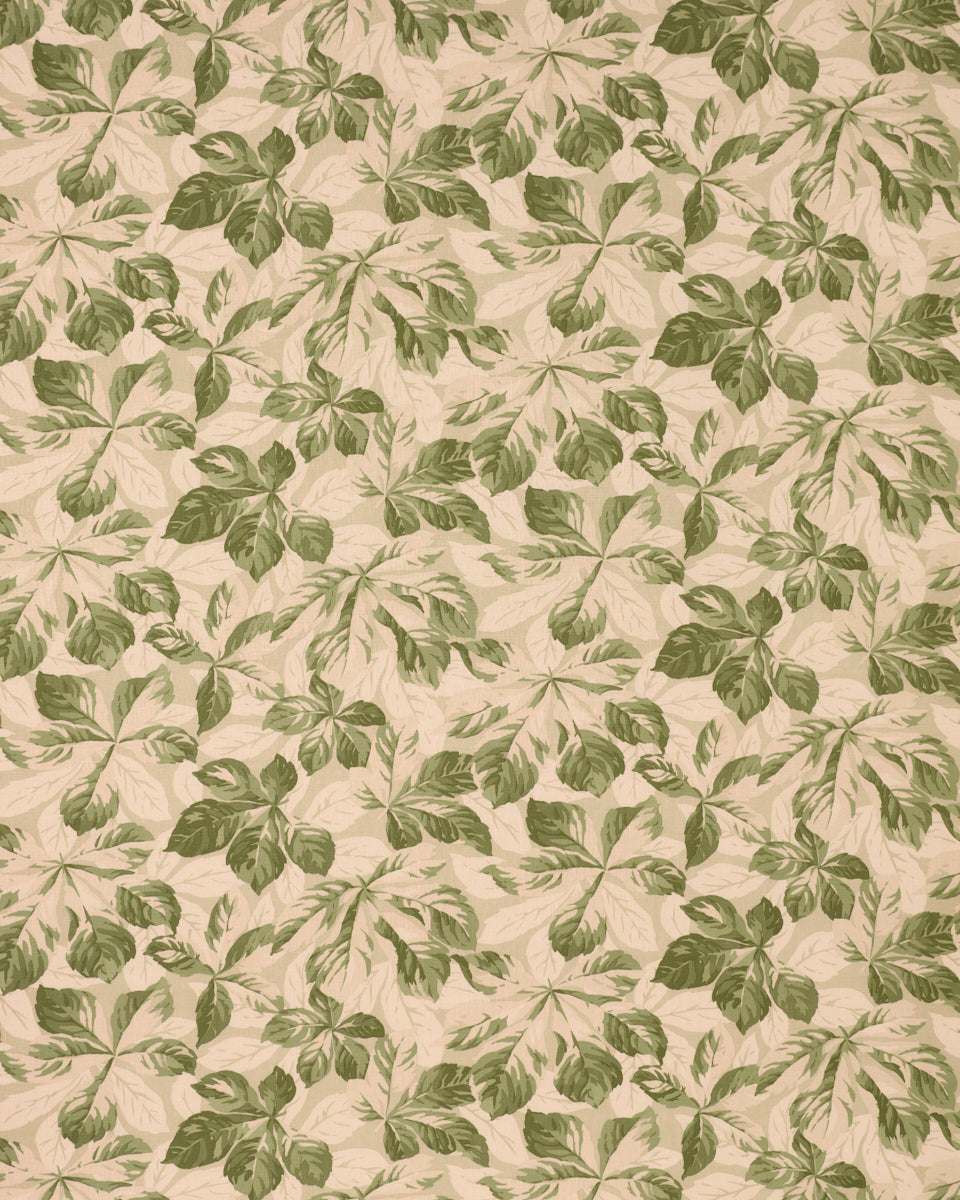 ARBOREAL | Sage