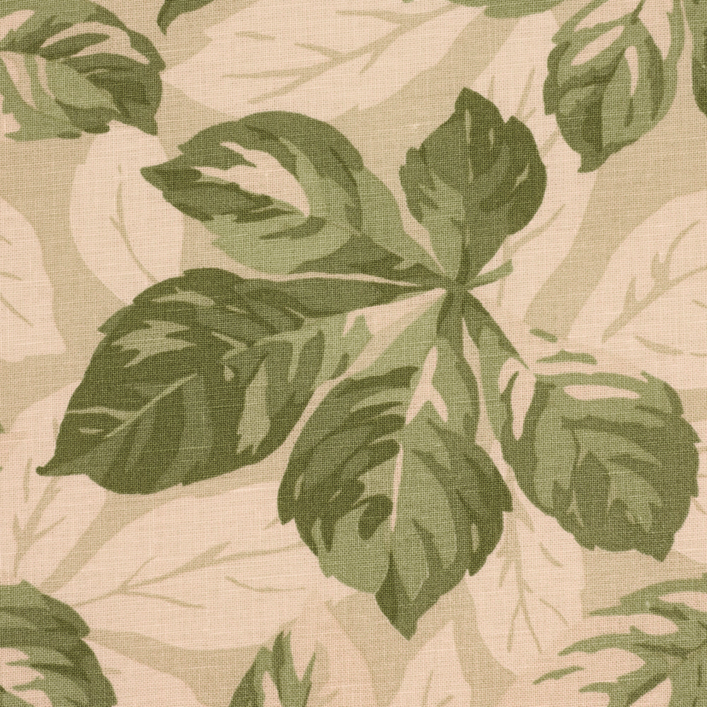 ARBOREAL | Sage