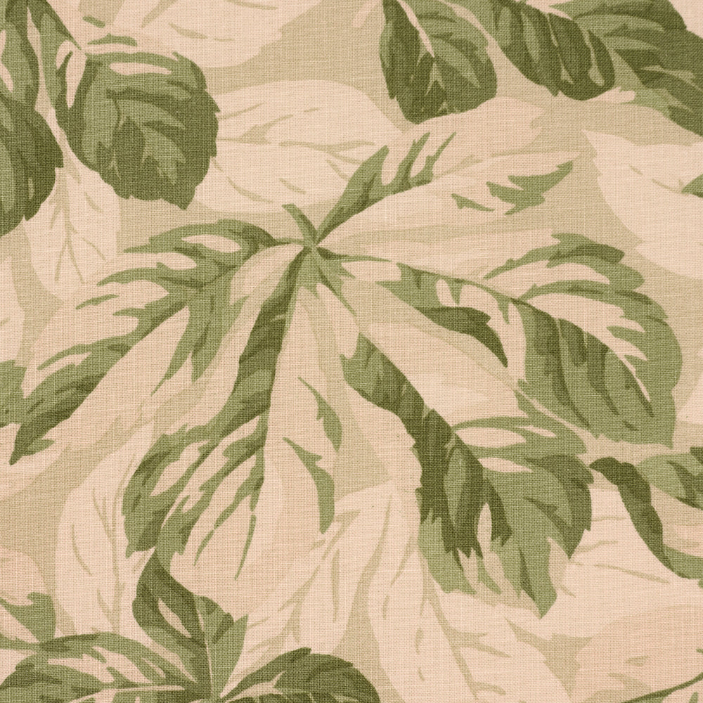 ARBOREAL | Sage
