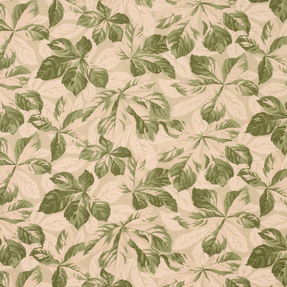 ARBOREAL | Sage