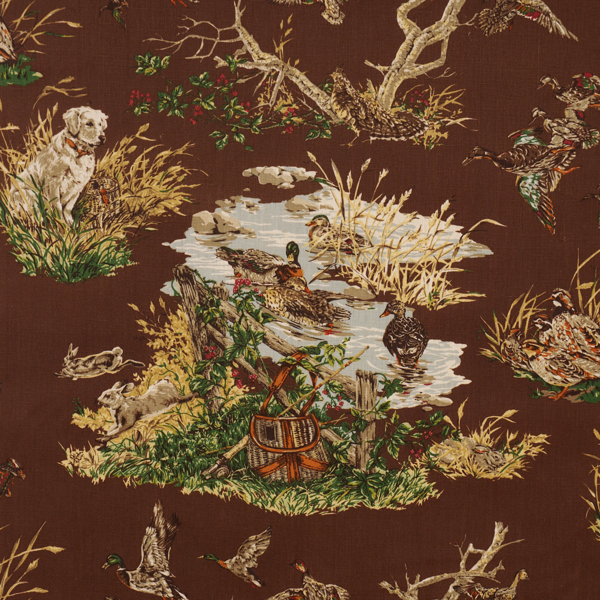 DOG & DUCK | Brown