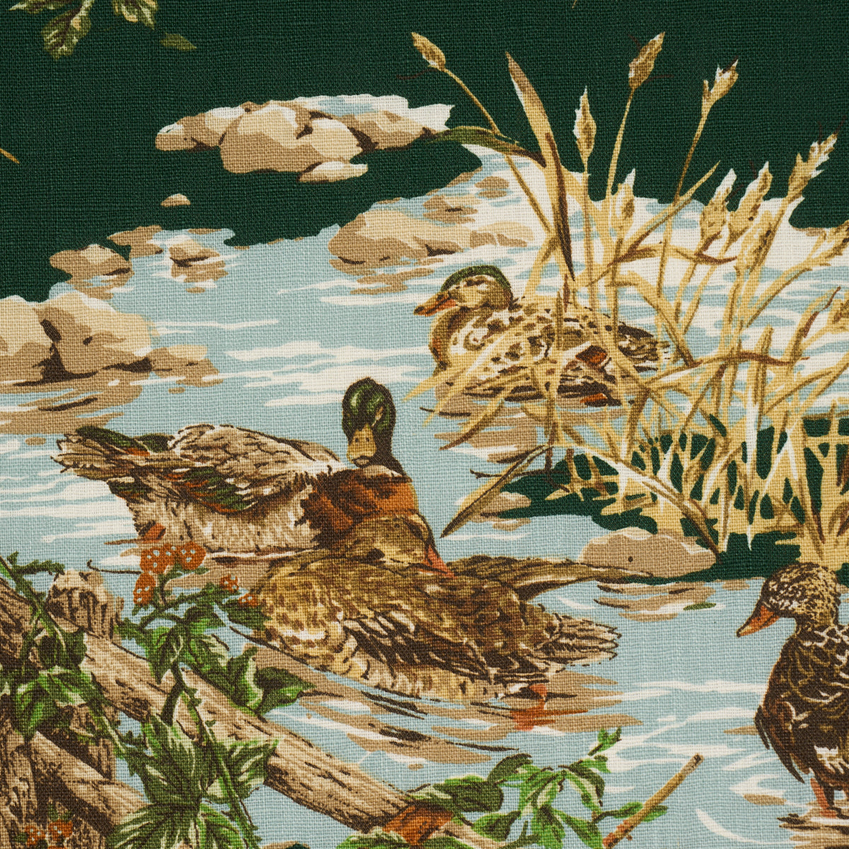 DOG & DUCK | Verdant