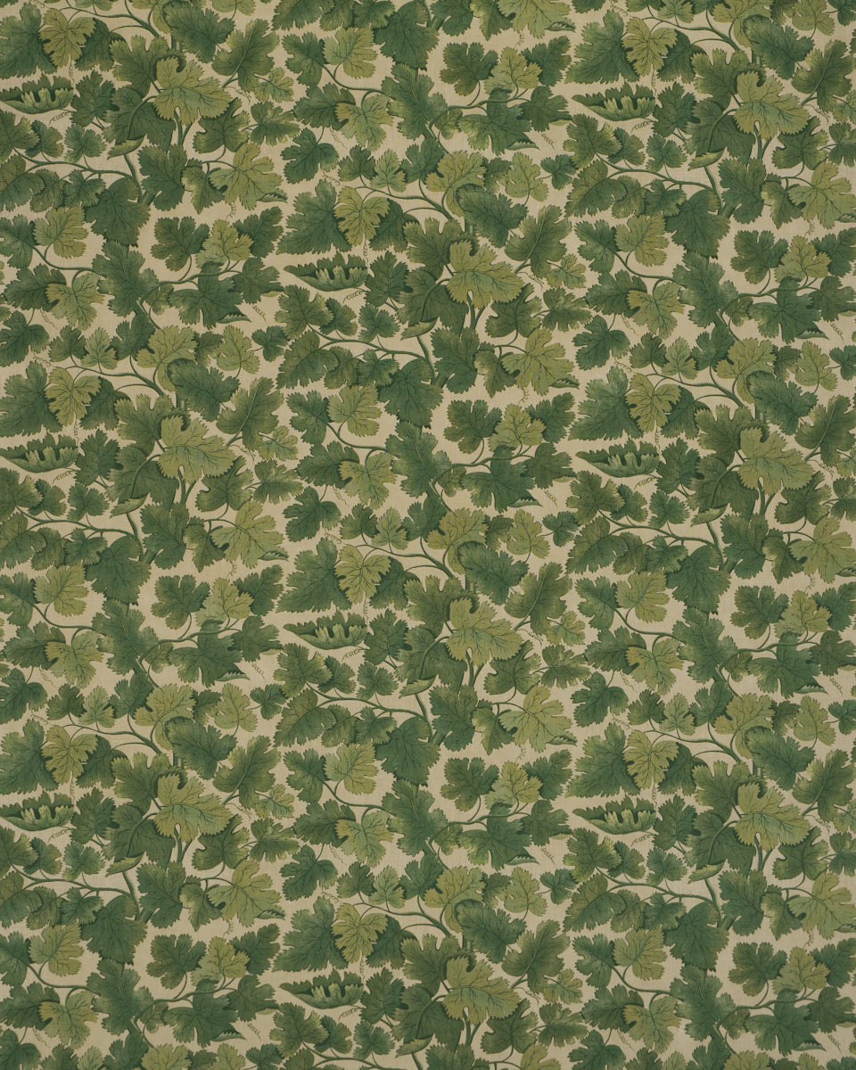 EDINBURGH VINE | Moss