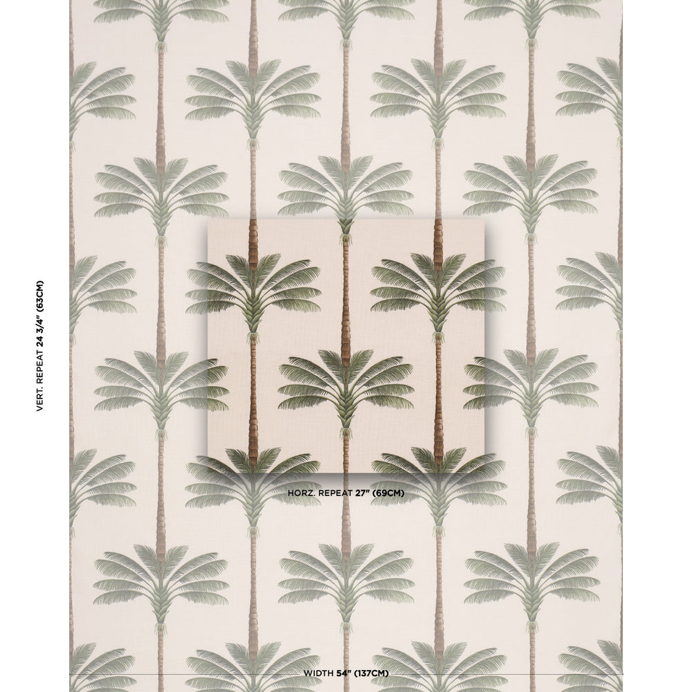 A PALM IS A PALM PRINT | Daylight Evergreen