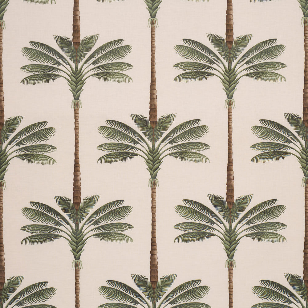 A PALM IS A PALM PRINT | Daylight Evergreen
