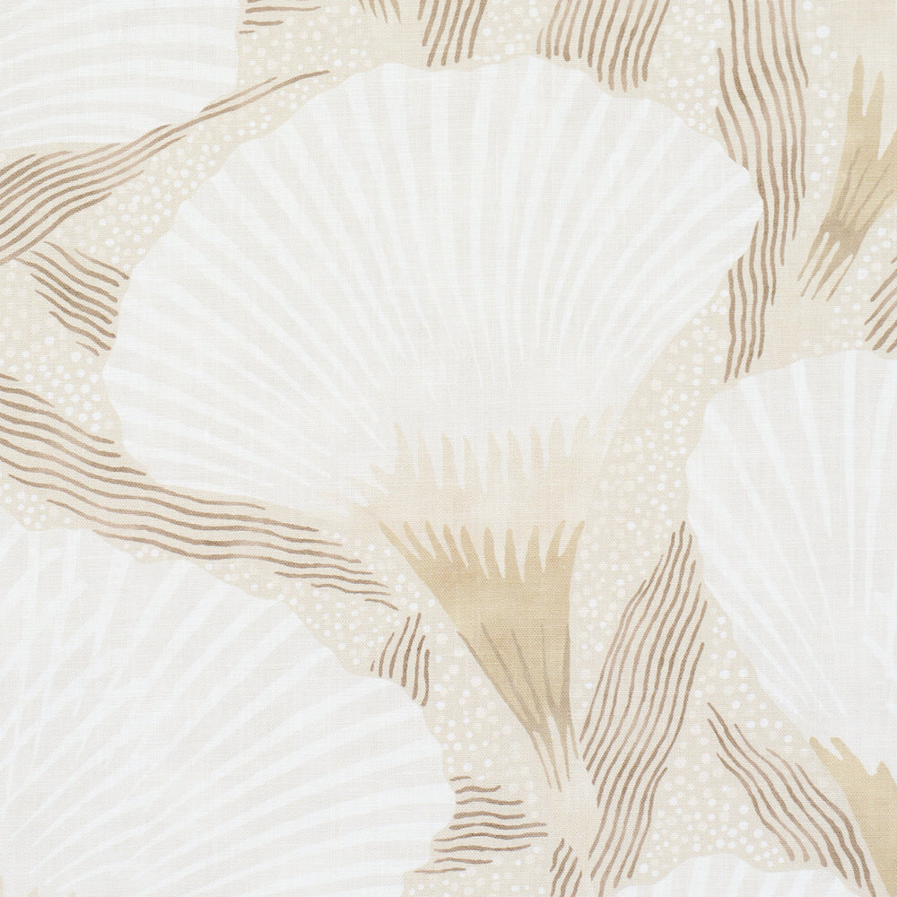 CONSTANCE | Neutral