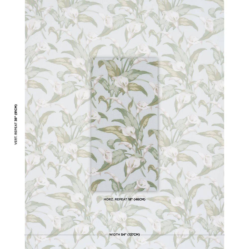 Arum Lilies | Aqua