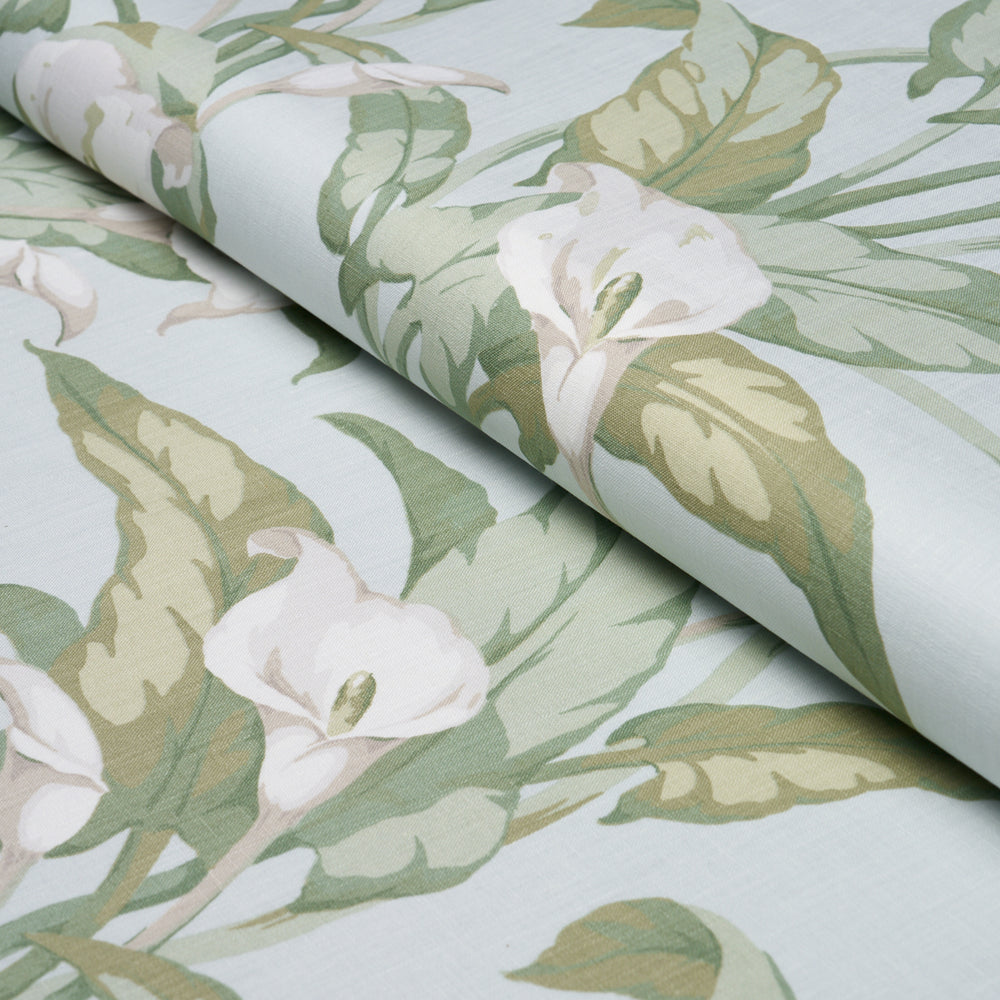 Arum Lilies | Aqua