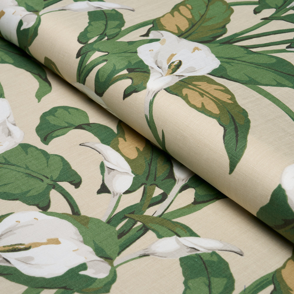 Arum Lilies | Parchment