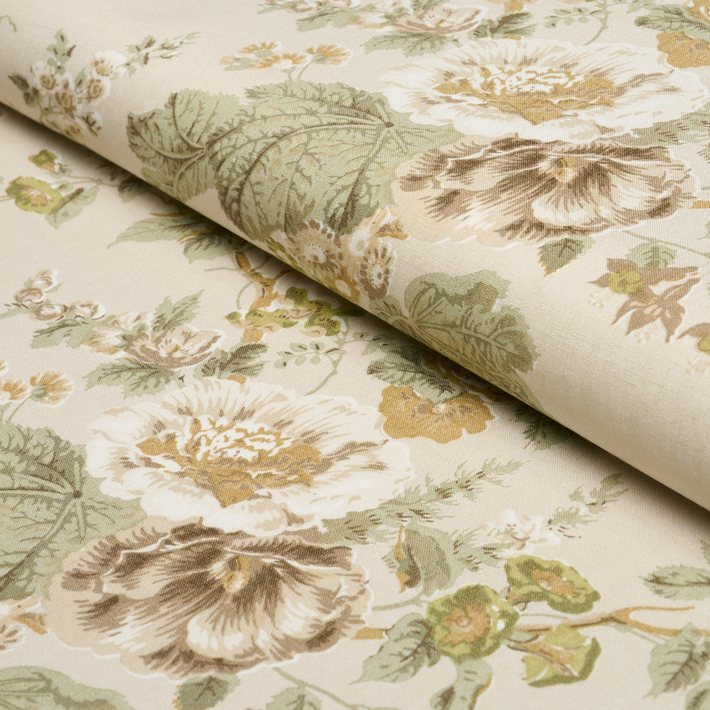 Midsummer Hollyhock | Citron
