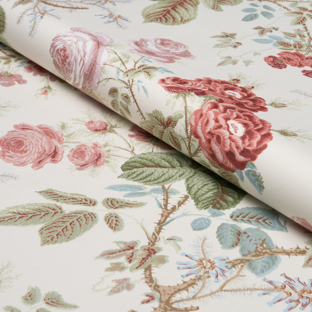 SHE WALKS IN BEAUTY CHINTZ | Rose
