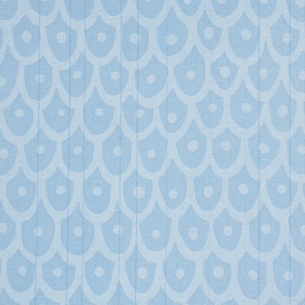 FISH SCALES | Sky
