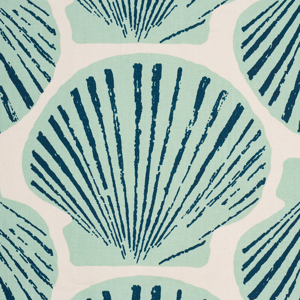 SCALLOP SHELL | Aqua