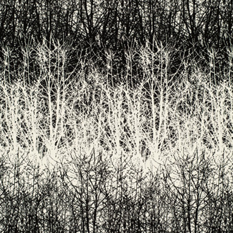 BIRCHES - Black