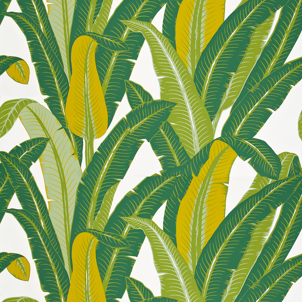 ISOLA TROPICALE | VERDE SU BIANCO