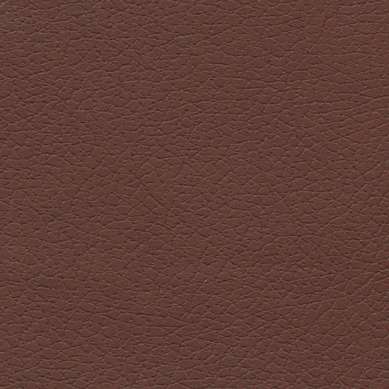 BRISA | Canyon