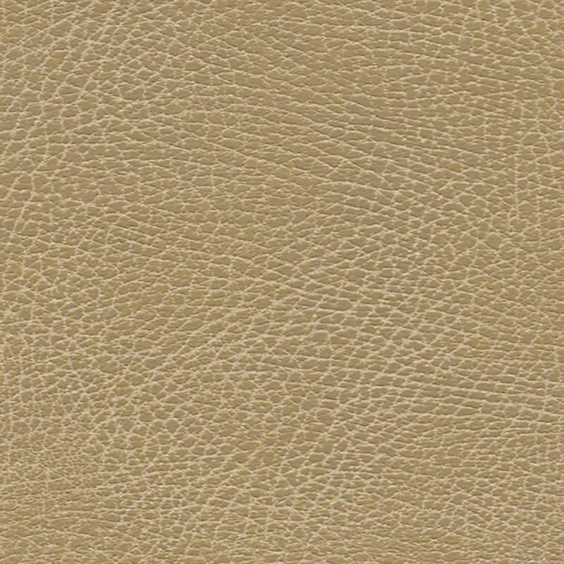 BRISA DISTRESSED | Buckskin