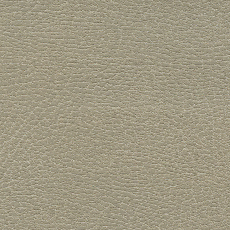BRISA DISTRESSED | Dune
