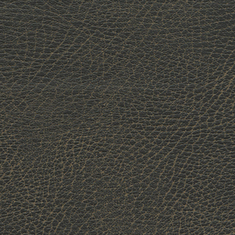 BRISA DISTRESSED | Steerhide