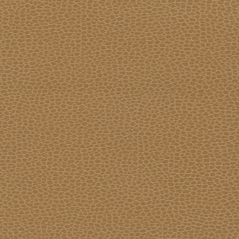 PROMESSA | Camel