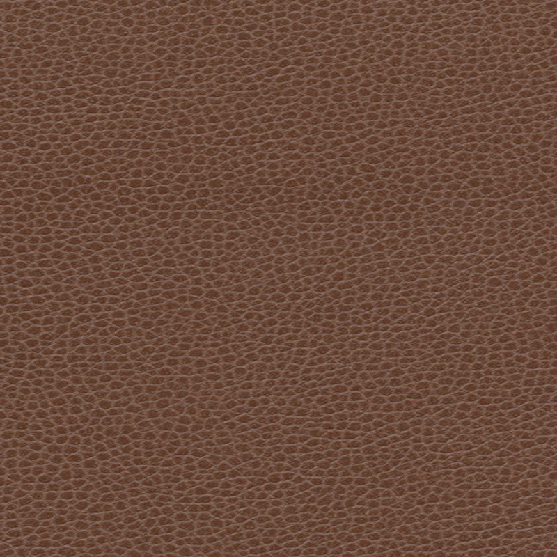 PROMESSA | Tudor