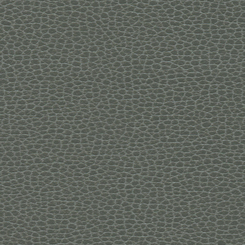 PROMESSA | Shale