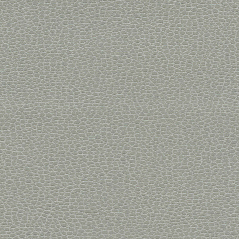 PROMESSA | Ash