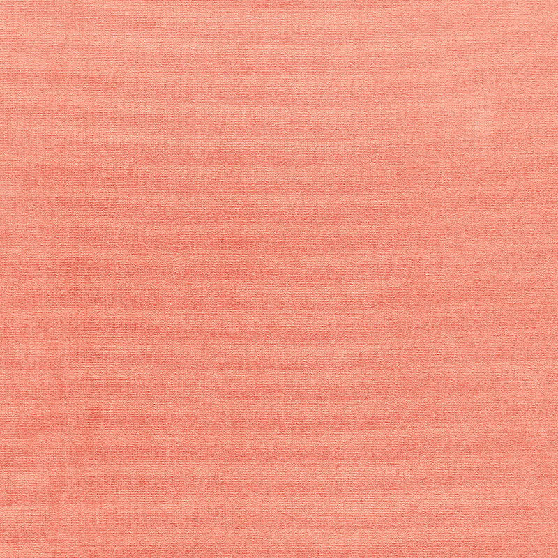 VELLUTO GAINSBOROUGH | CORALLO MARINO