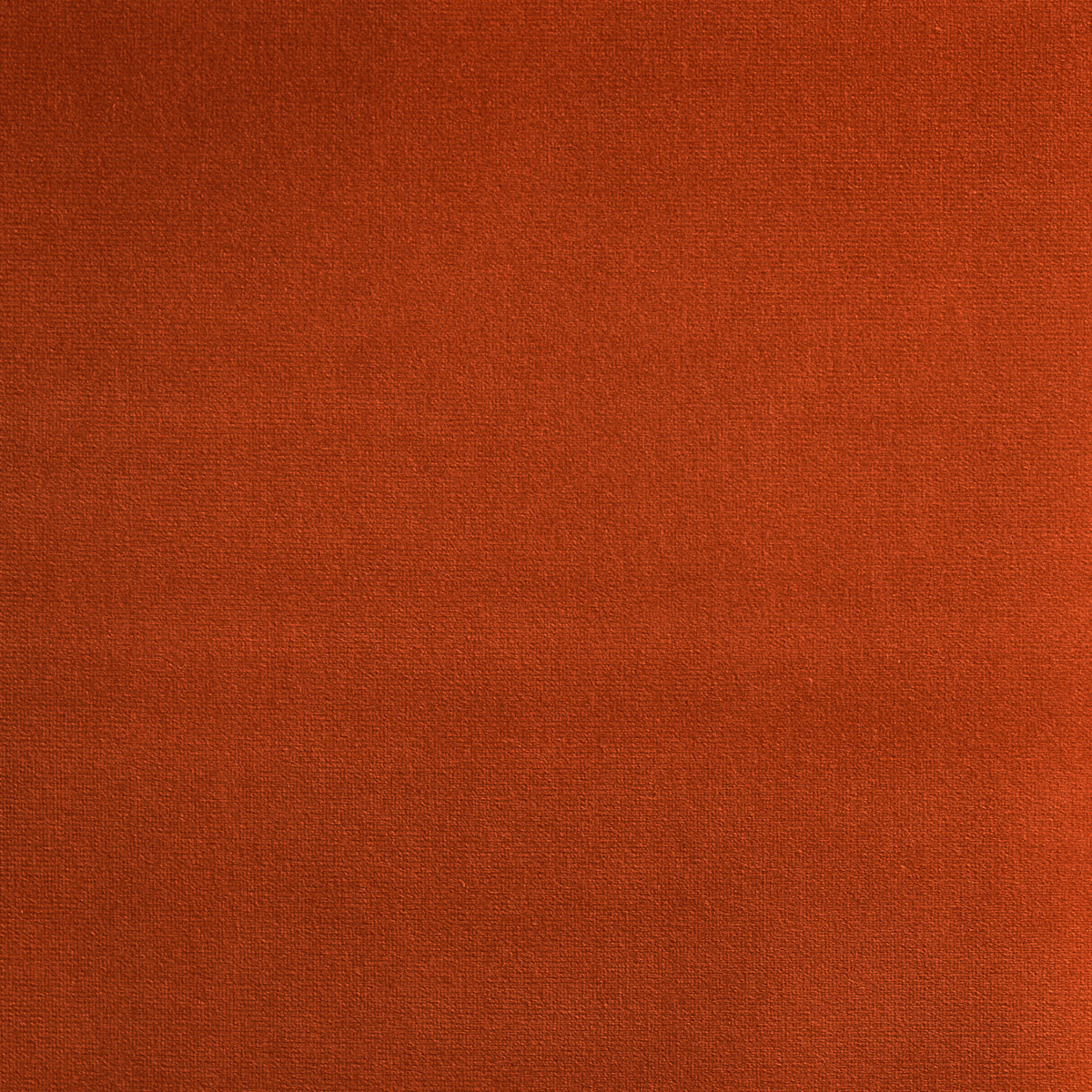 VELLUTO GAINSBOROUGH | ARANCIO CINESE