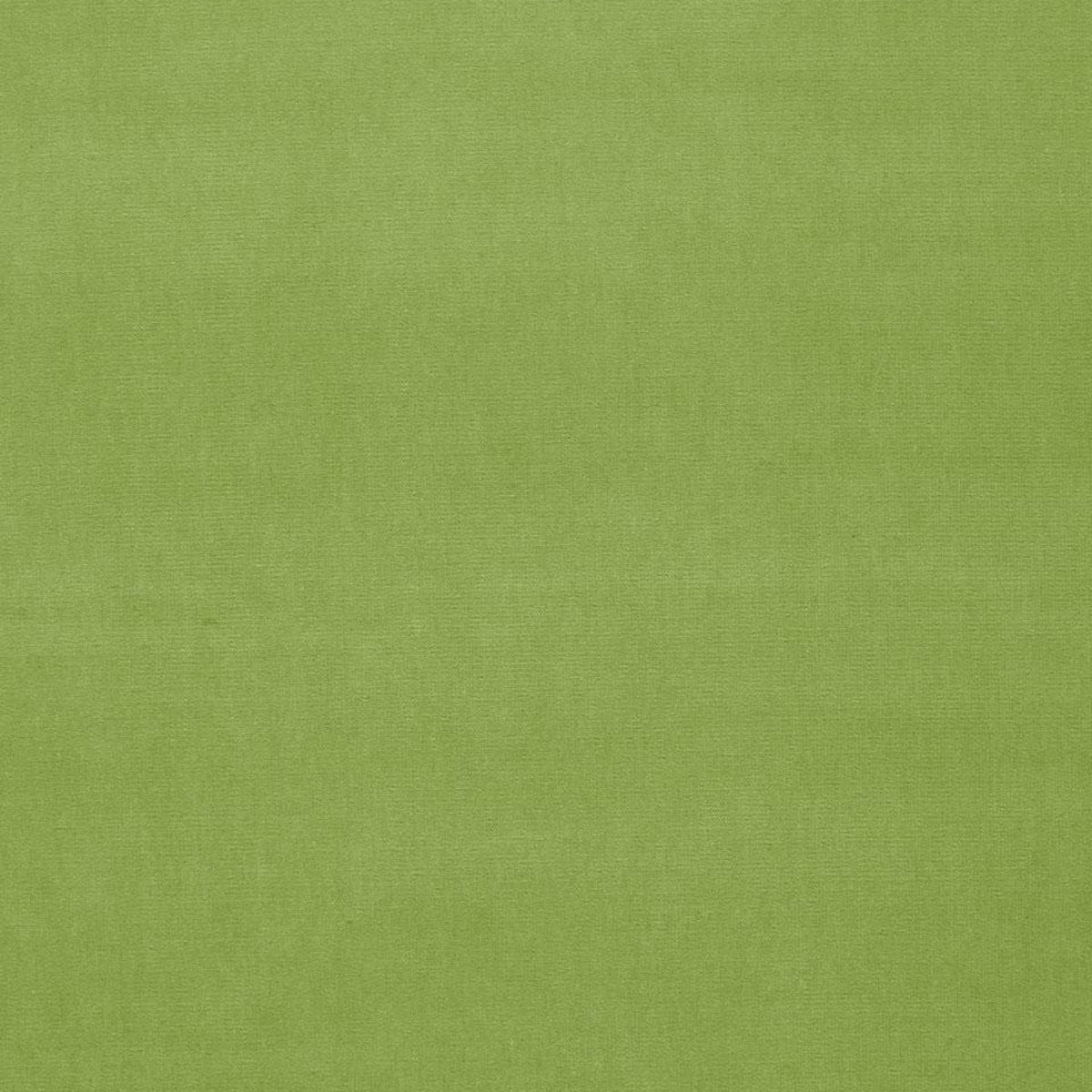 GAINSBOROUGH VELVET | Apple
