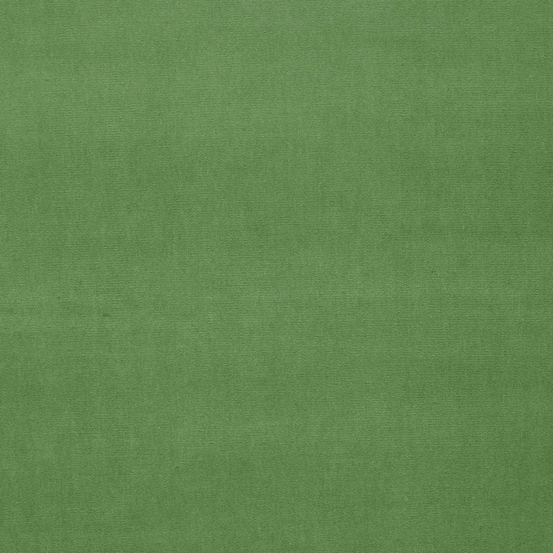 VELLUTO GAINSBOROUGH | PAPPAGALLO