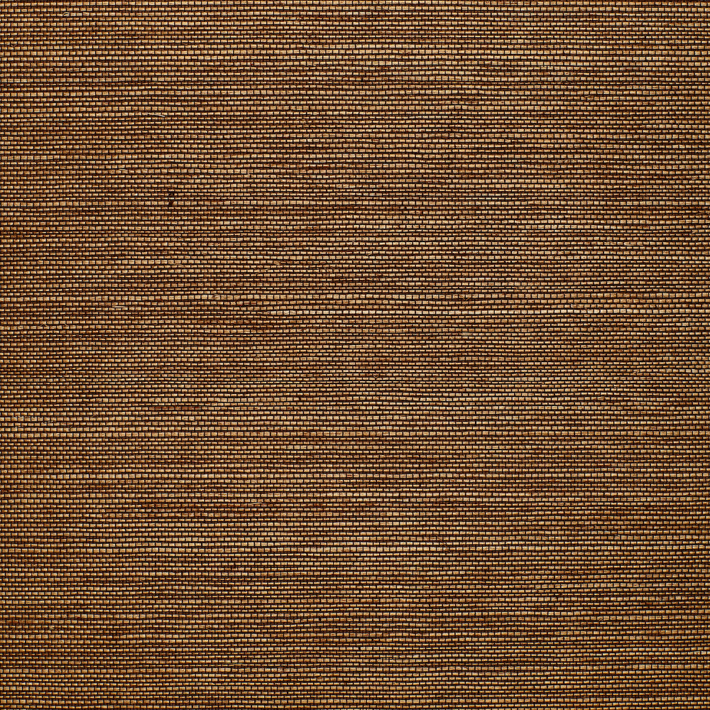 CELEBES SISAL | CAMMELLO