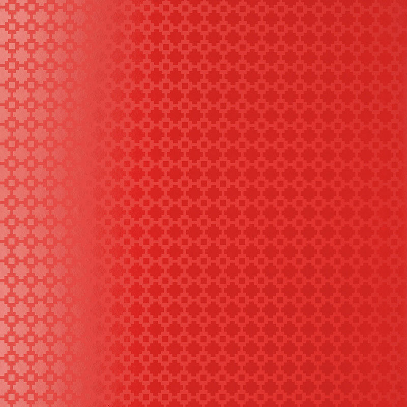 SHAKE IT UP | Lacquer Gloss