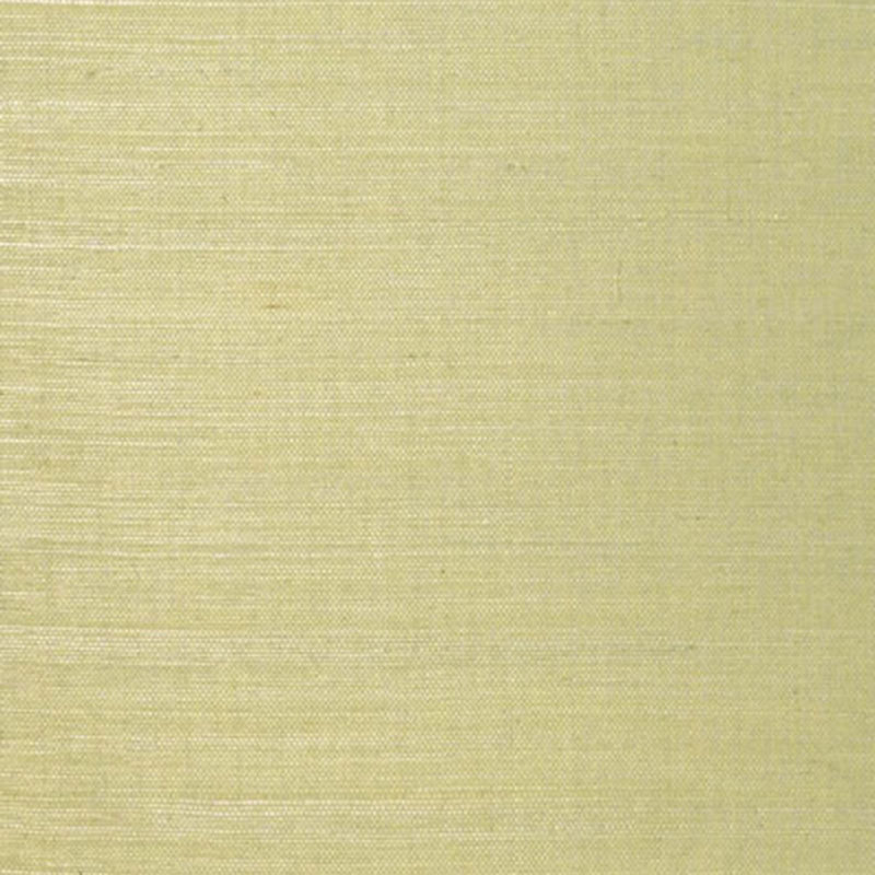 TERRA LINYI | SEDANO