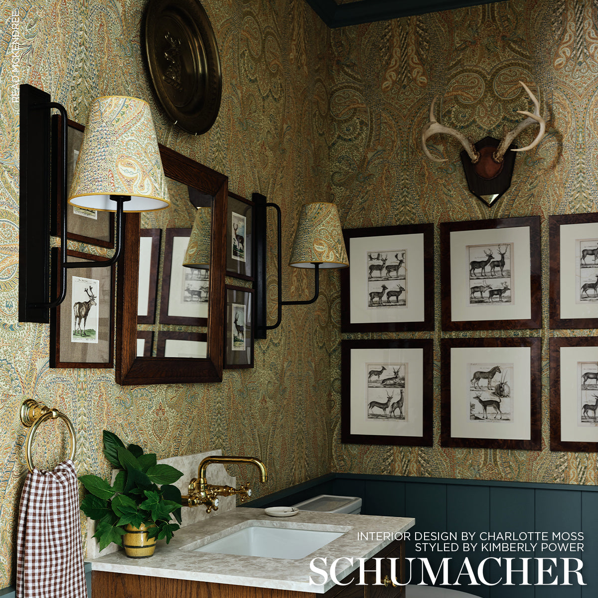 EMILIO CACHEMIRE | SPEZIA