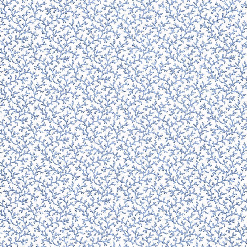 VITE CORALLO | OCEANO